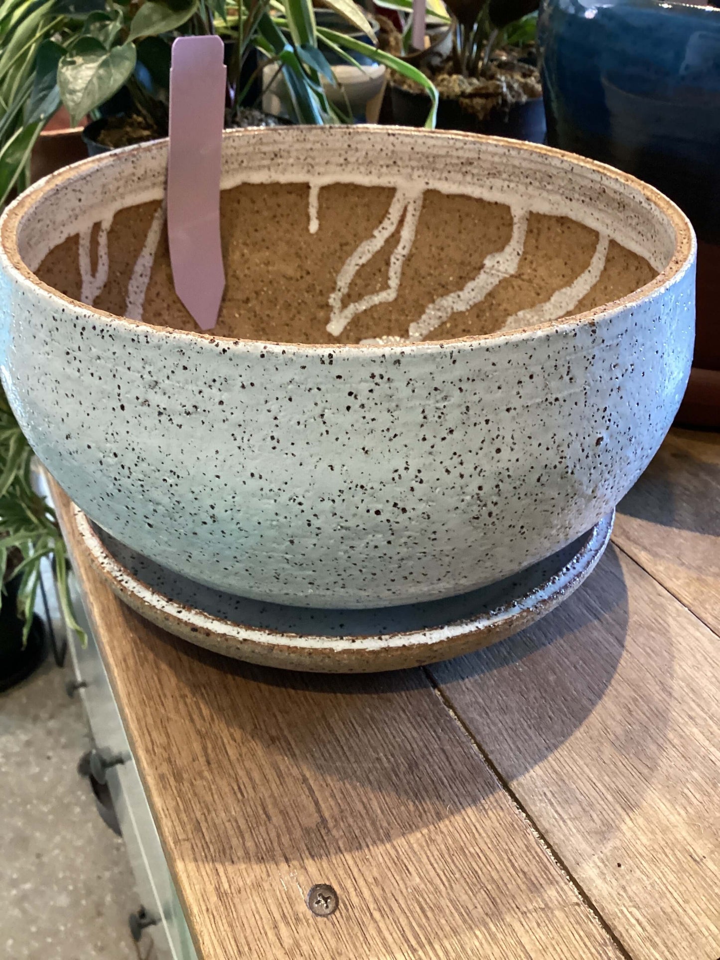 White Bowl Planter