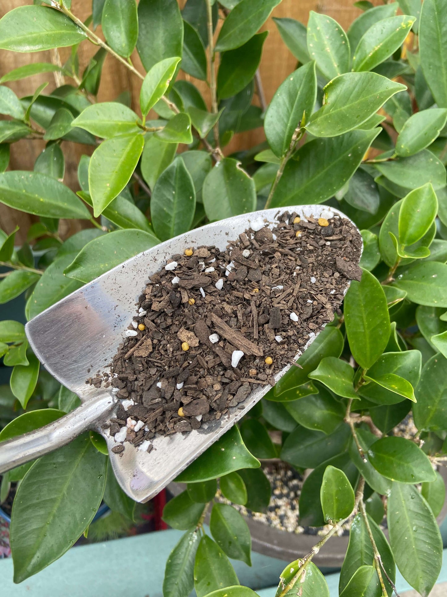 Plantonica Indoor Potting Mix 8L