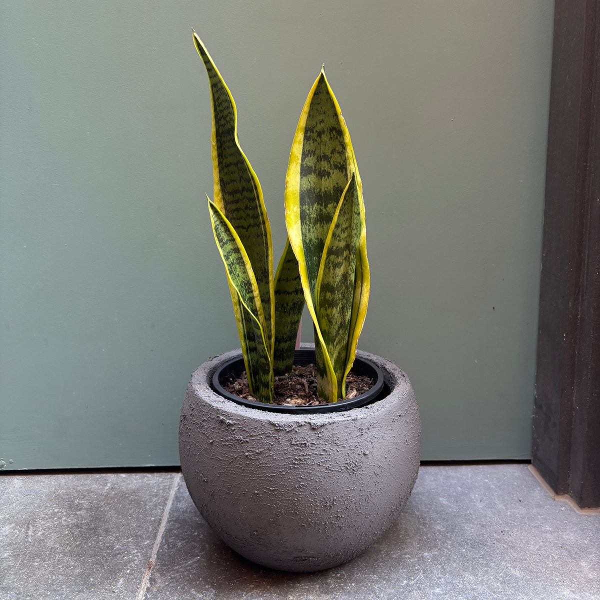 SECONDS SALE - Basalt Ball Pot