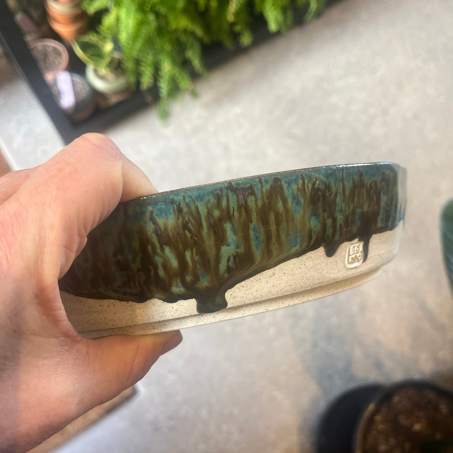 Bonsai Planter in Forest