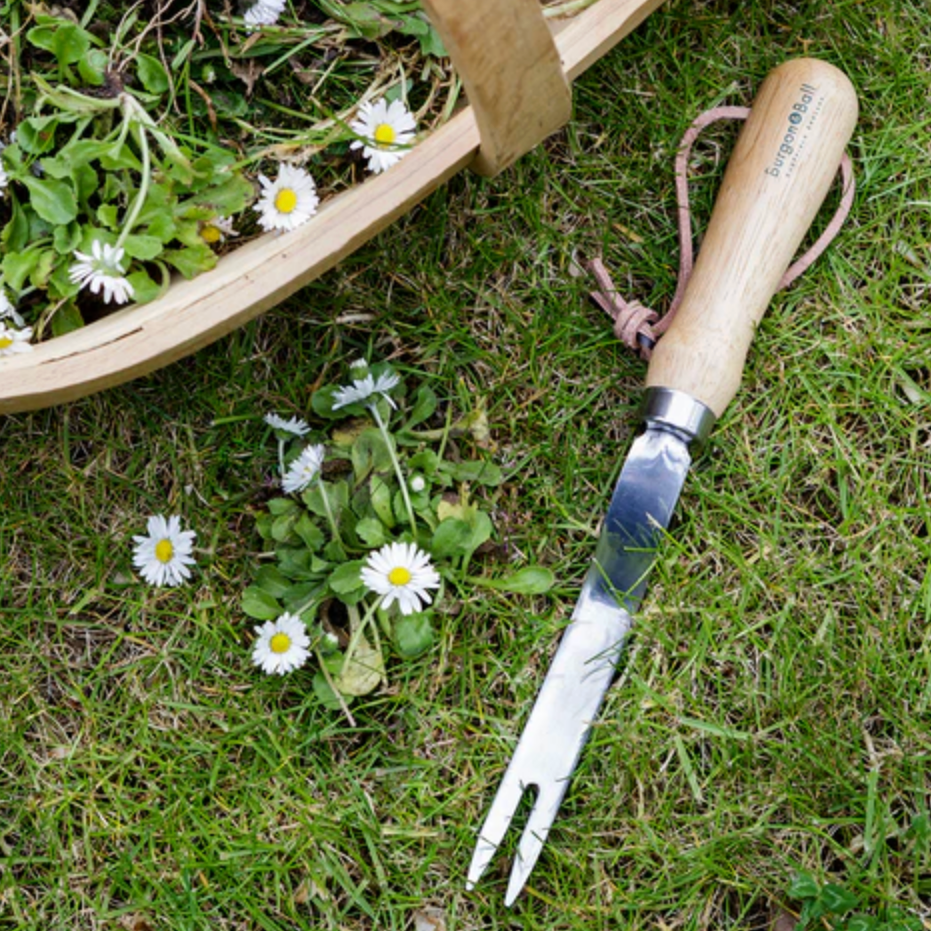 Gardening tool with wooden handle on grass with daisies