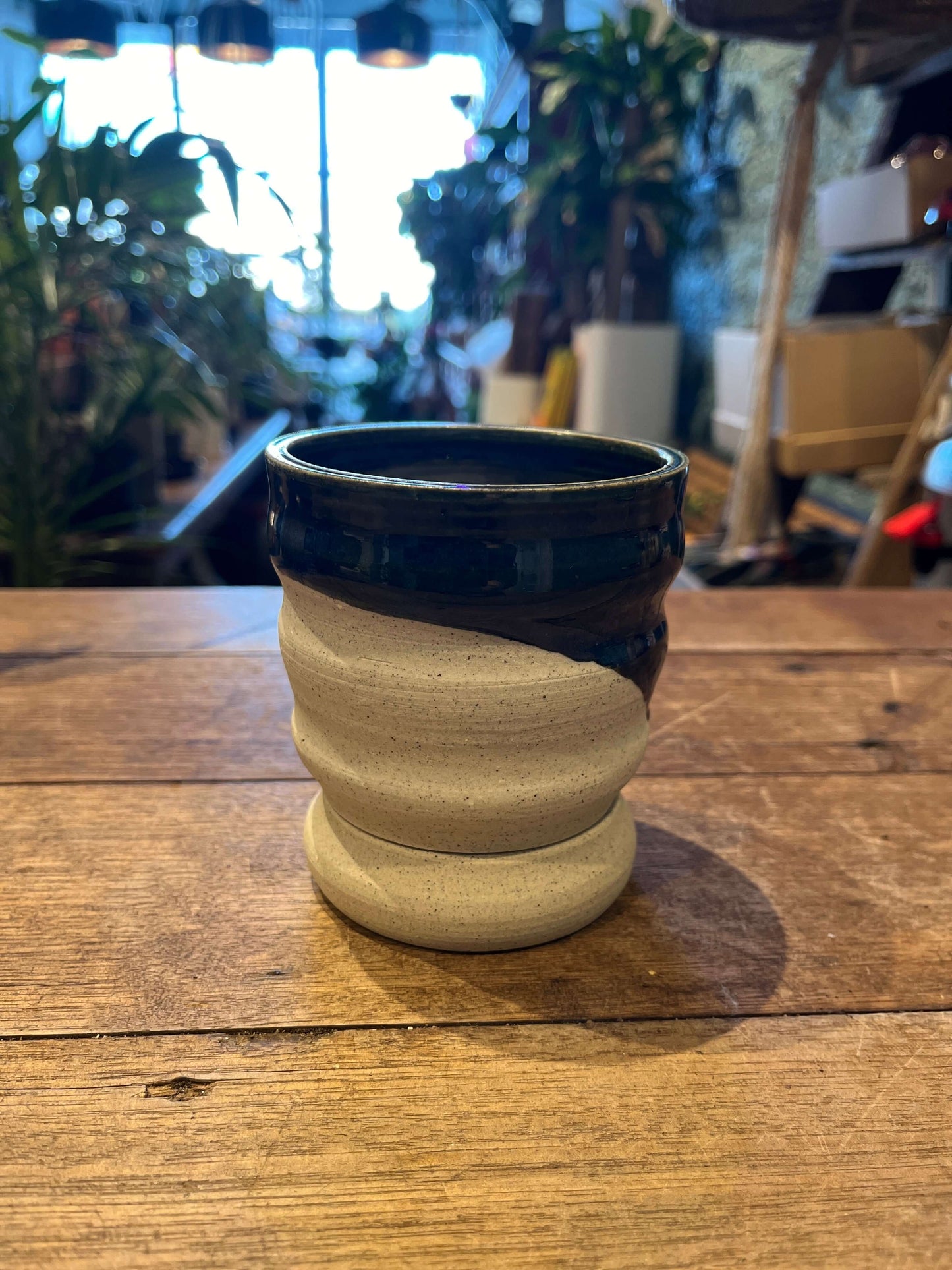 Planter X