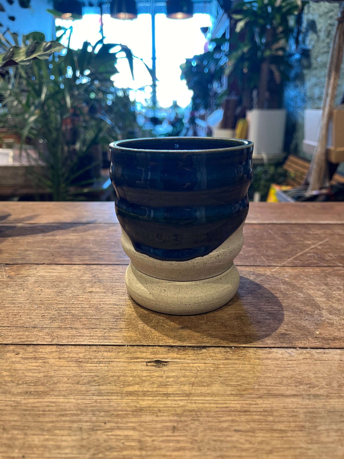 Planter X
