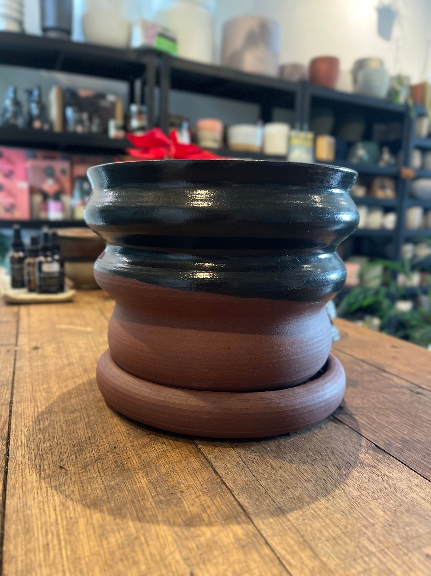 Mahogany Curves in Blue Midnight (I AM A SECOND)