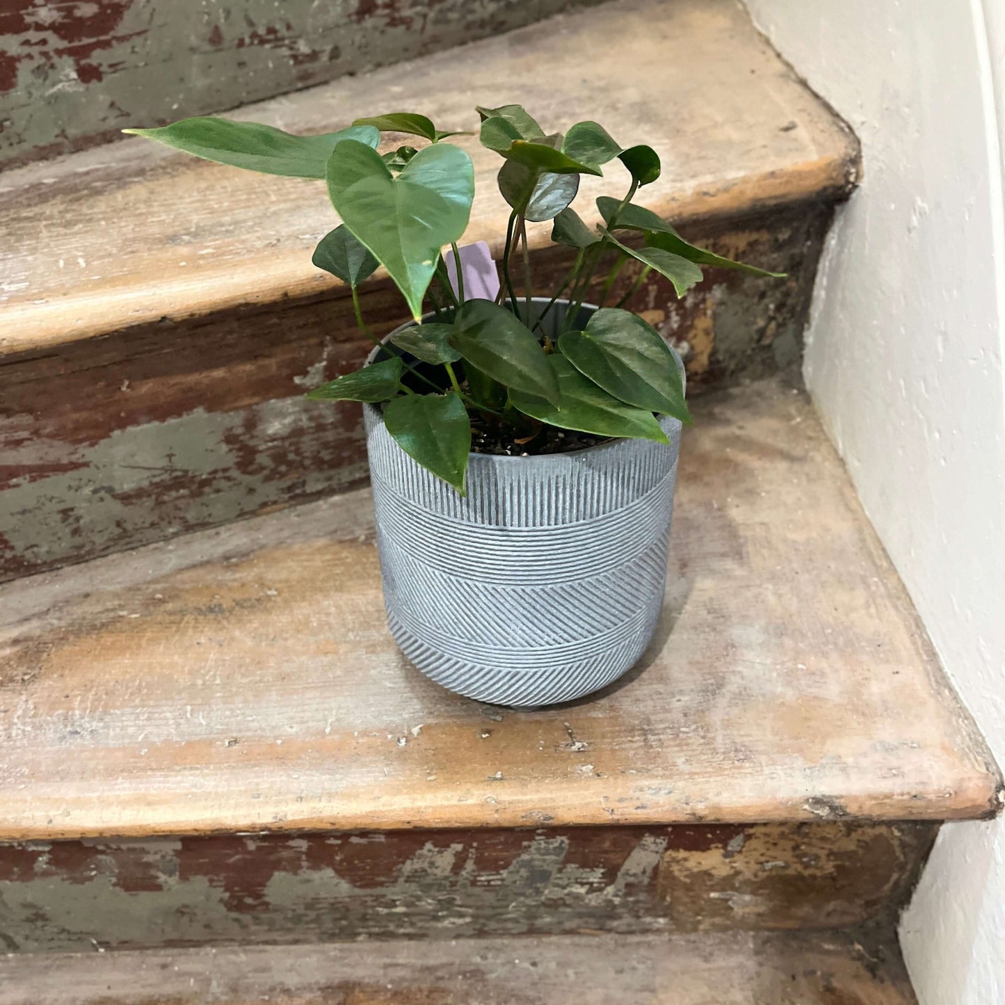 Winston Cylinder with Feet