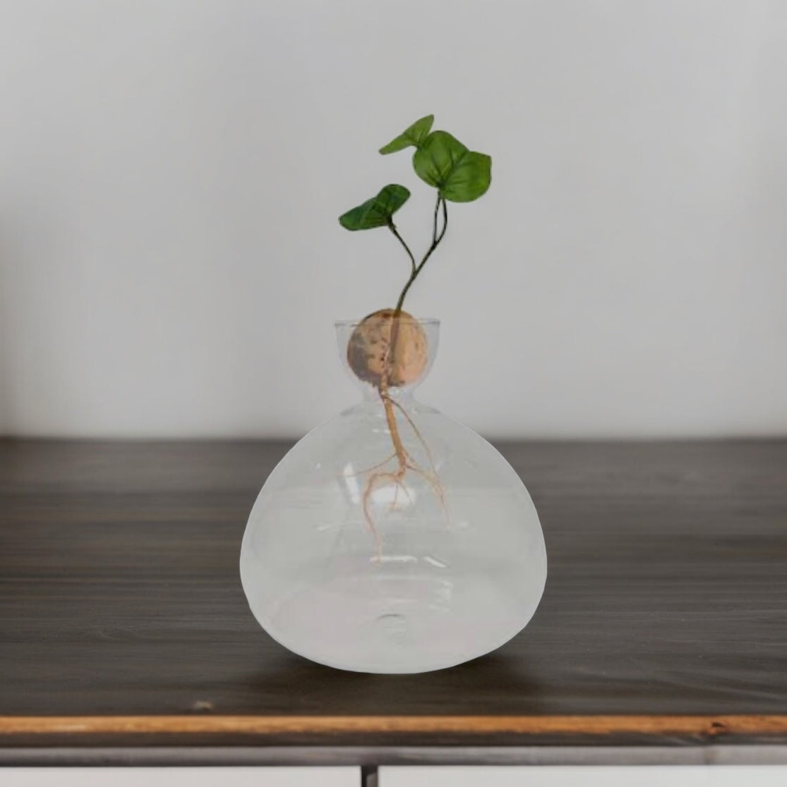 Avocado Vase