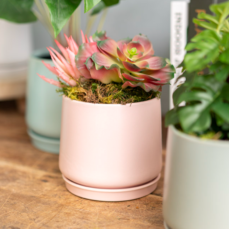 Loreto Belly Pot & Plate