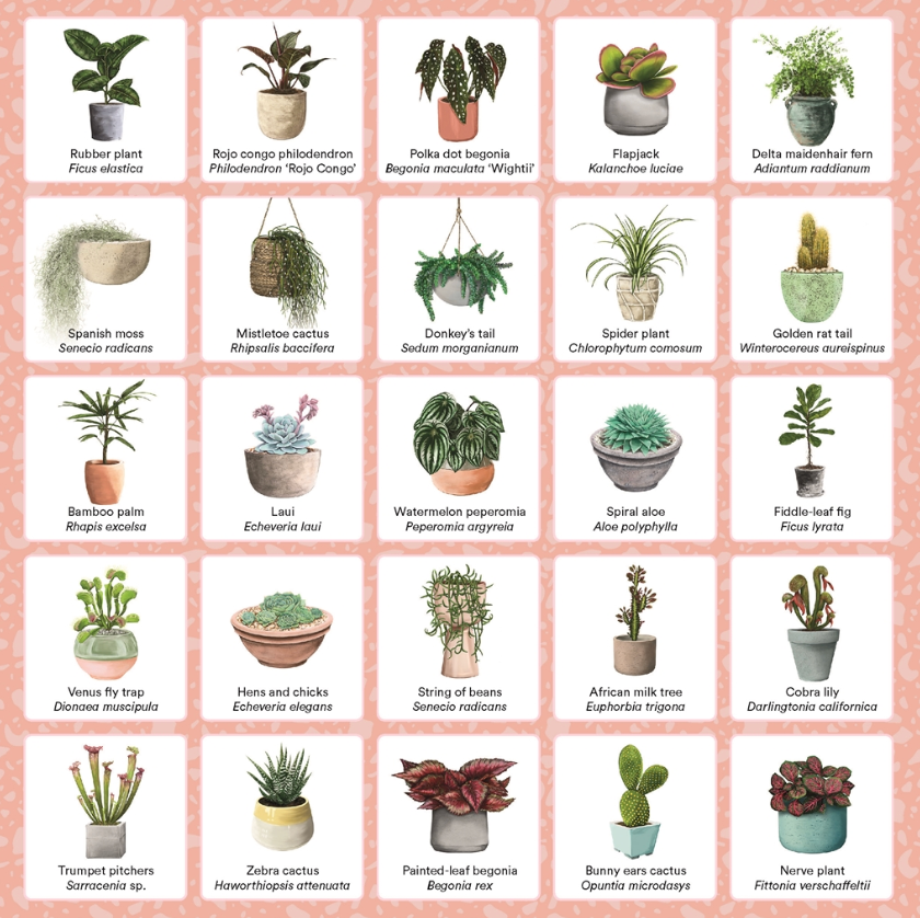 Grid of potted plants with names on a pink background