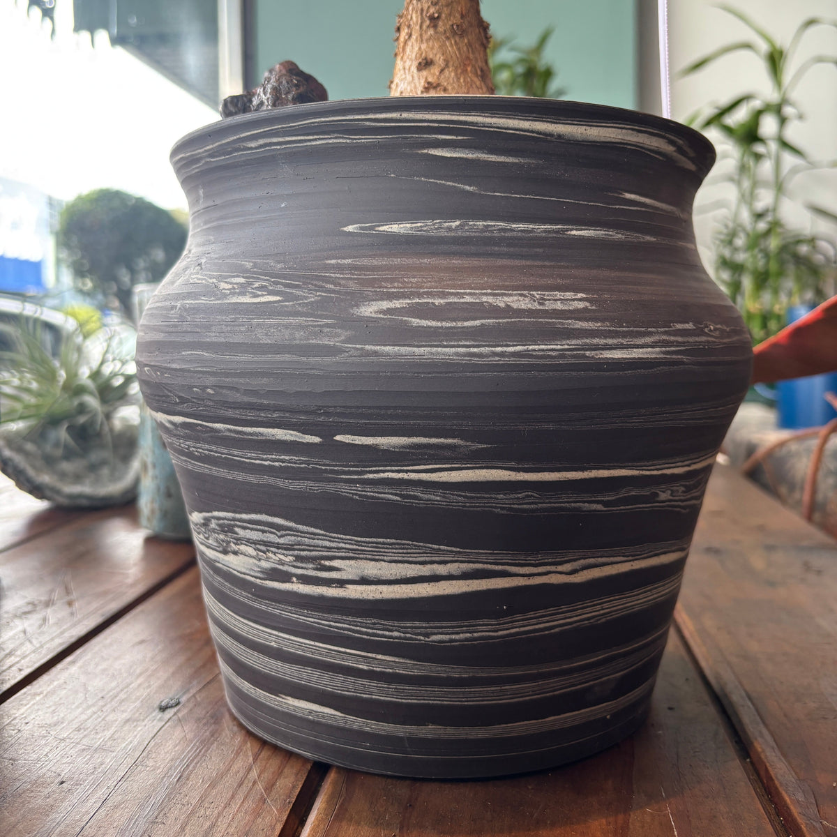 A dark gray and black ceramic planter with horizontal white and gray marbled stripes, holding a small tree with a light brown trunk, set on a wooden table.