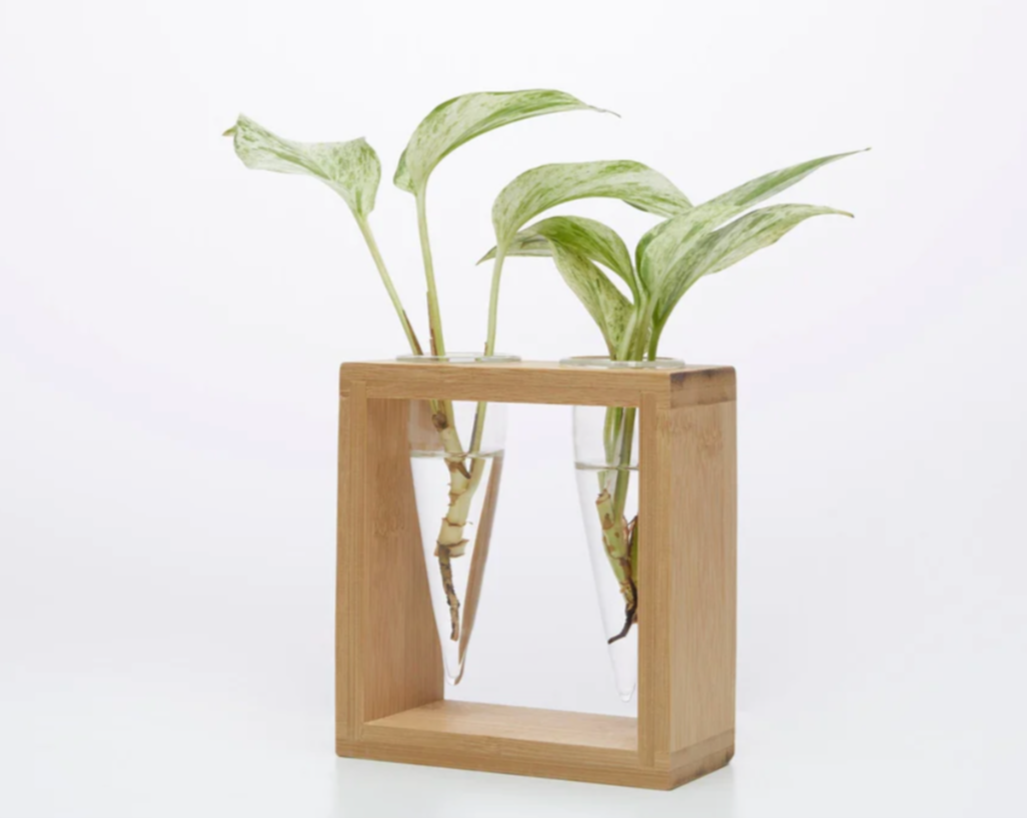 Proppi 2 - Propagation Station