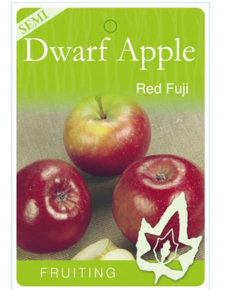 SemiDwarf Apple Red Fuji (Malus domestica)