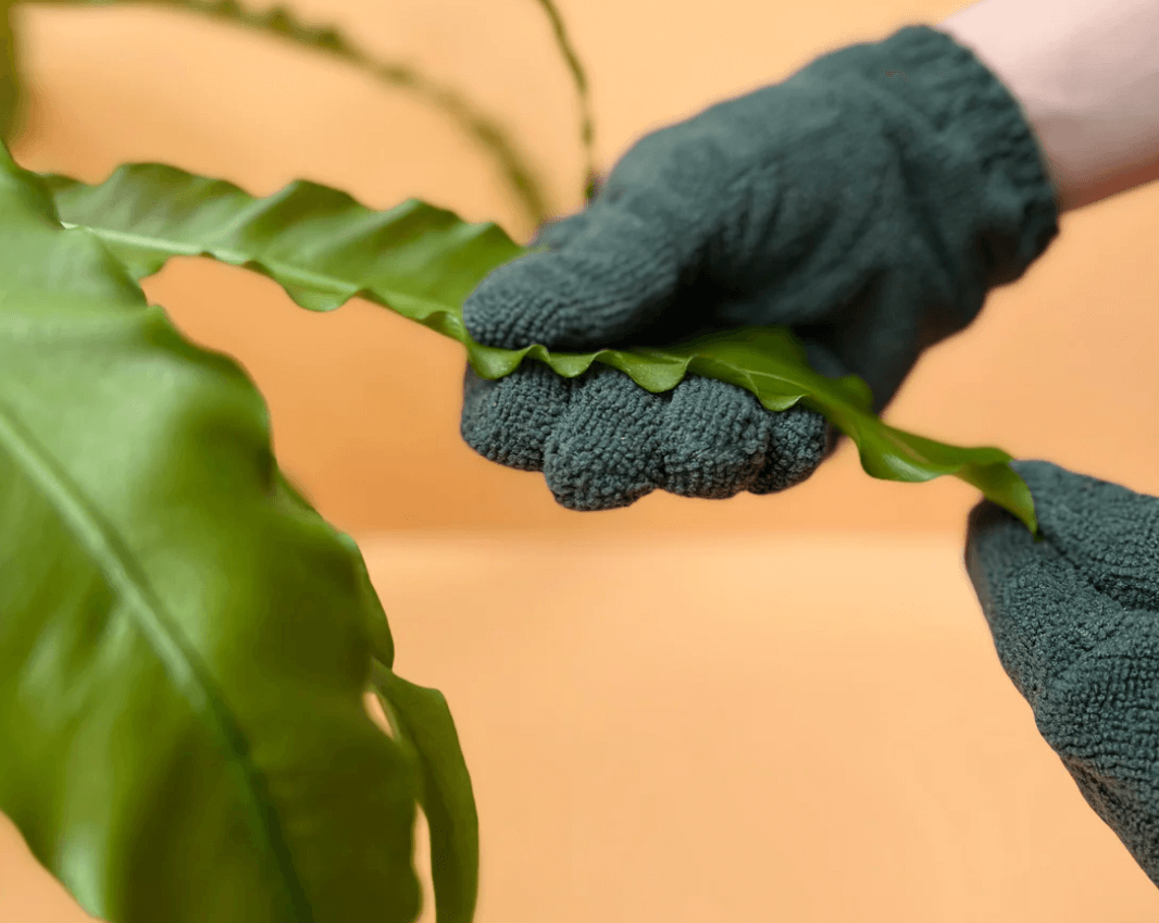 Leaf Health Duo-Leaf Cleaning Kit