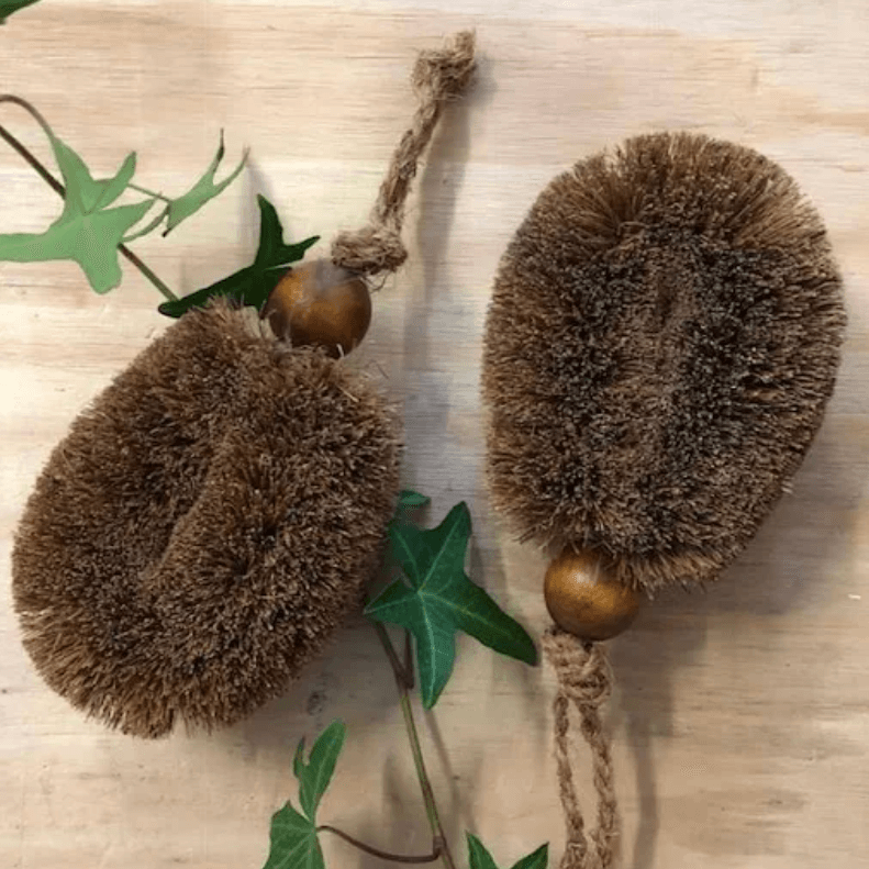 Ecomax Gardener's Brush