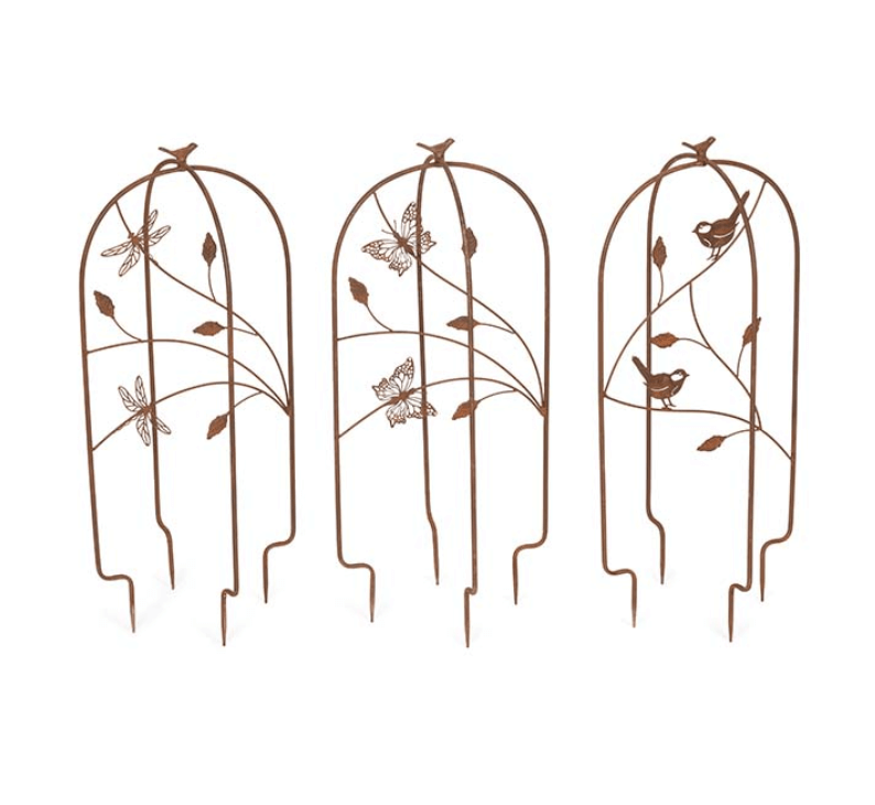 Rusty Growing Frame - Small