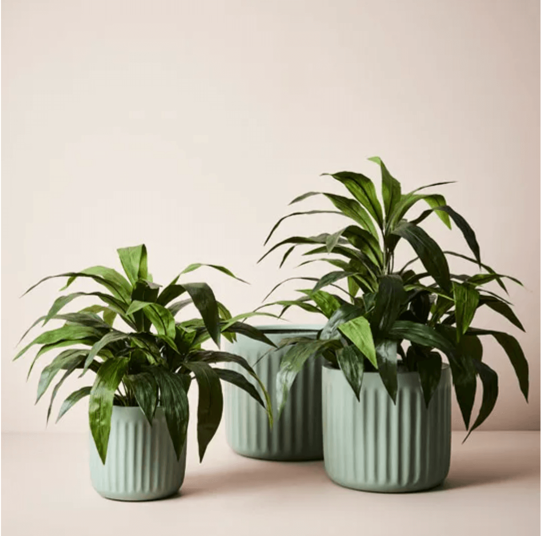 Pleat Pot by Floral Interiors