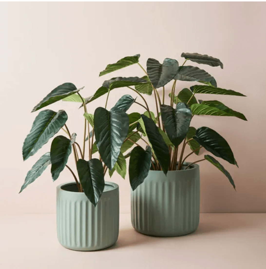 Pleat Pot by Floral Interiors