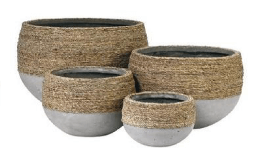 UrbanGrass Olive Pot