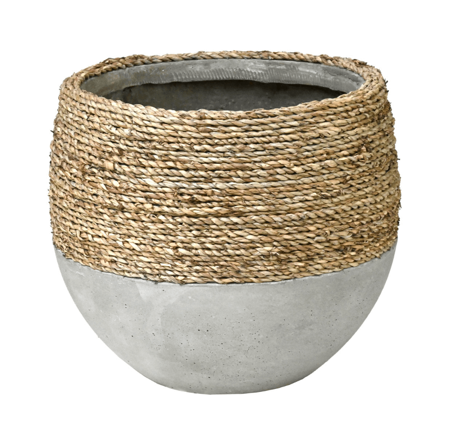 UrbanGrass Olive Pot