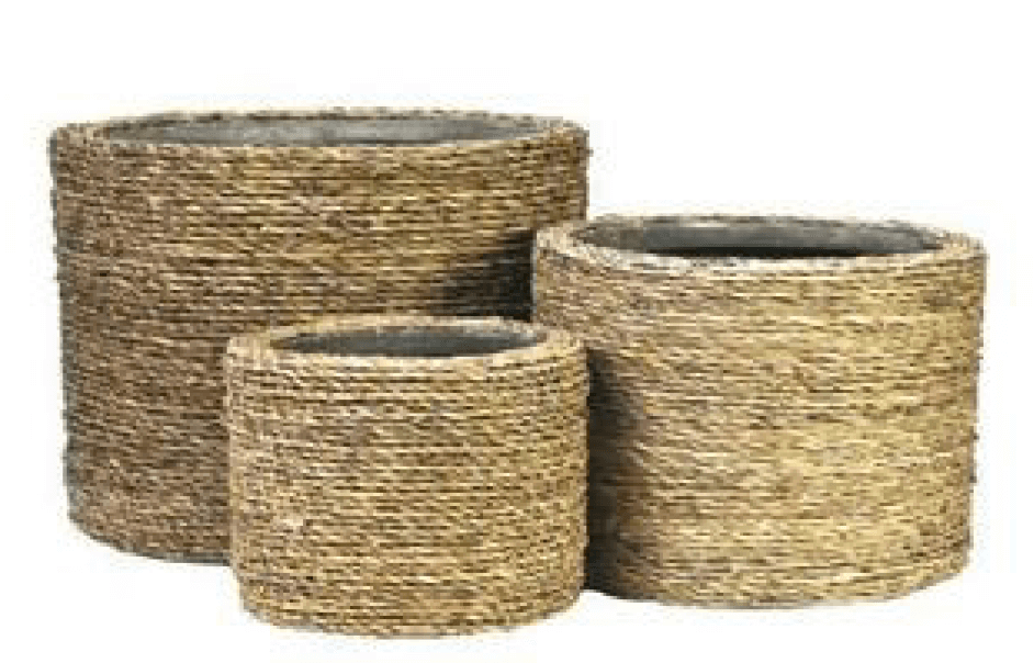 Urban Grass Cylinder Pot