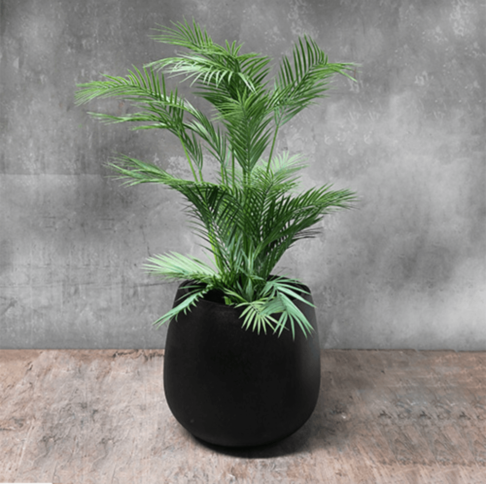 UrbanStyle Congo with Plastic Insert - GreyStone