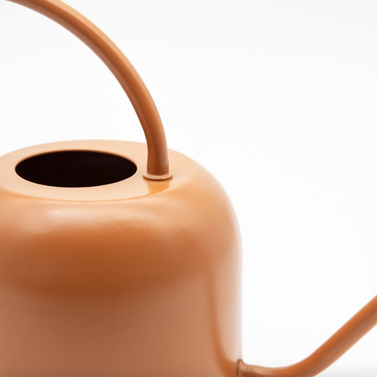 Beige watering can on a white background