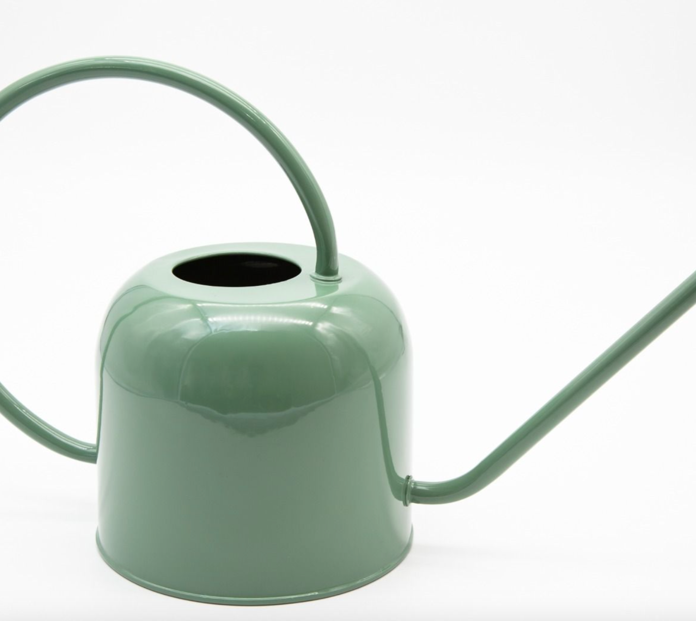 Green watering can on a white background