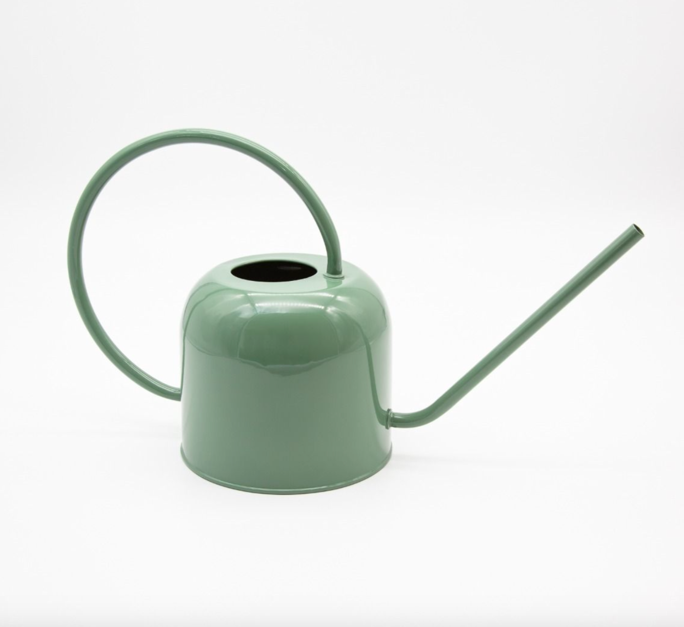 Green watering can on a white background