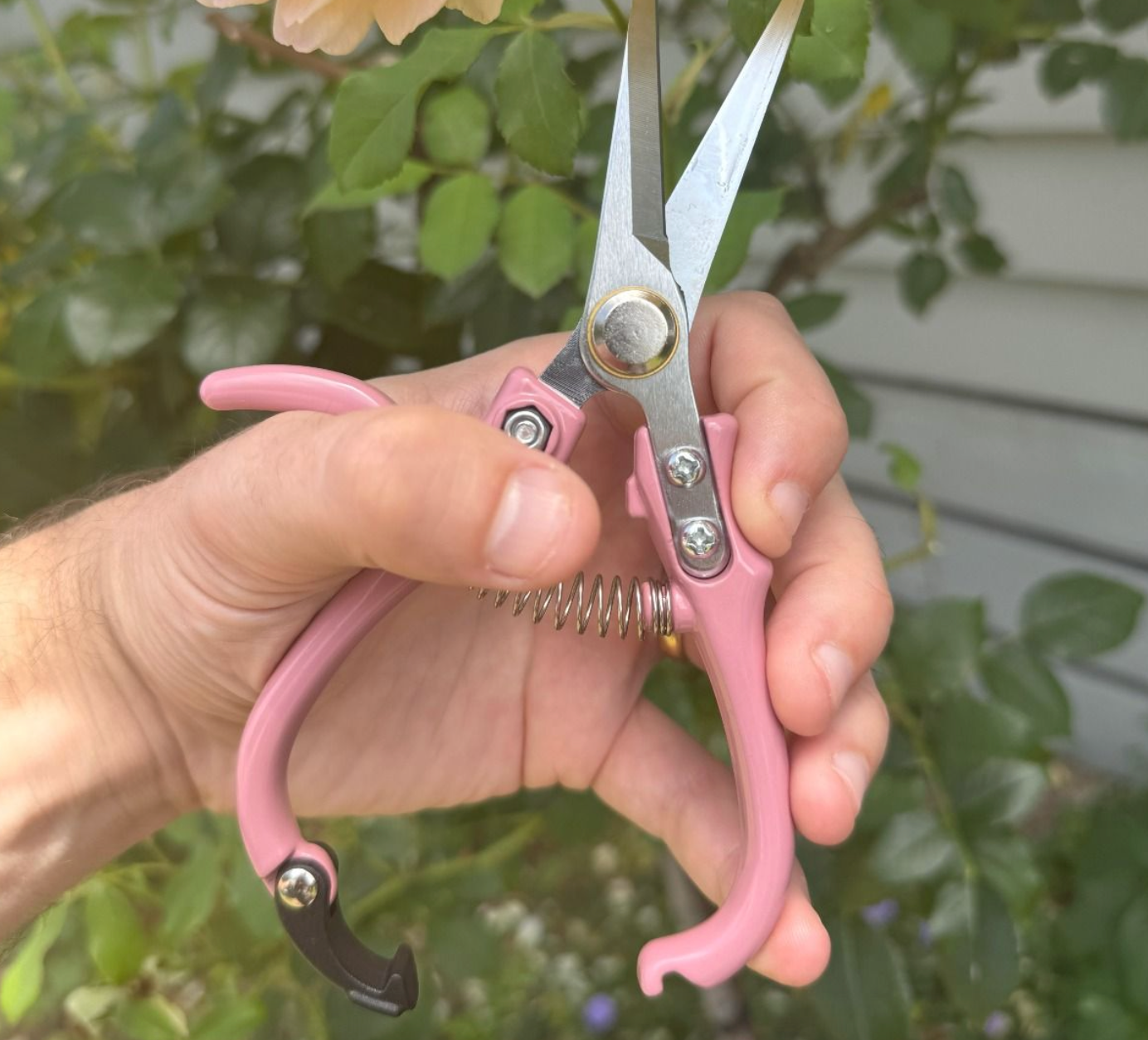 Indoor Plant Snips Dusty Rose