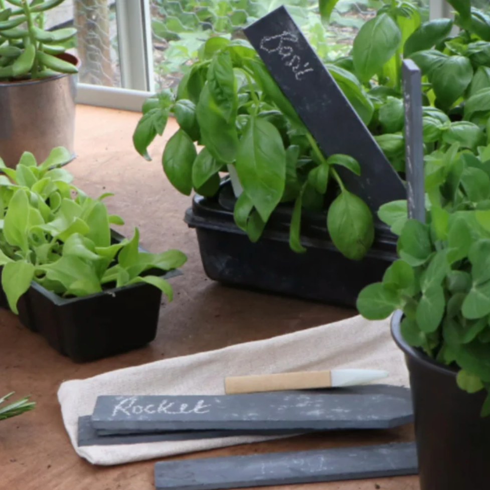 Set of 6 Slate Plant Tags