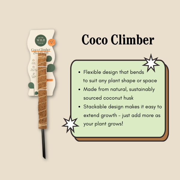 Coco Climber 16" - Case of 6