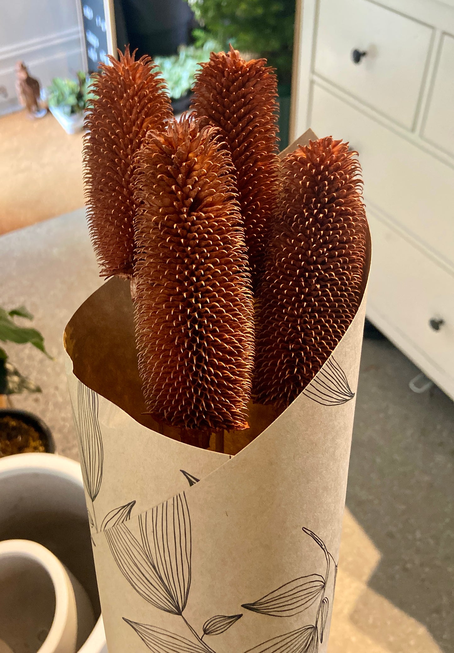 Natural Dry Thistle Branch Flower Stem - Brown/Orange