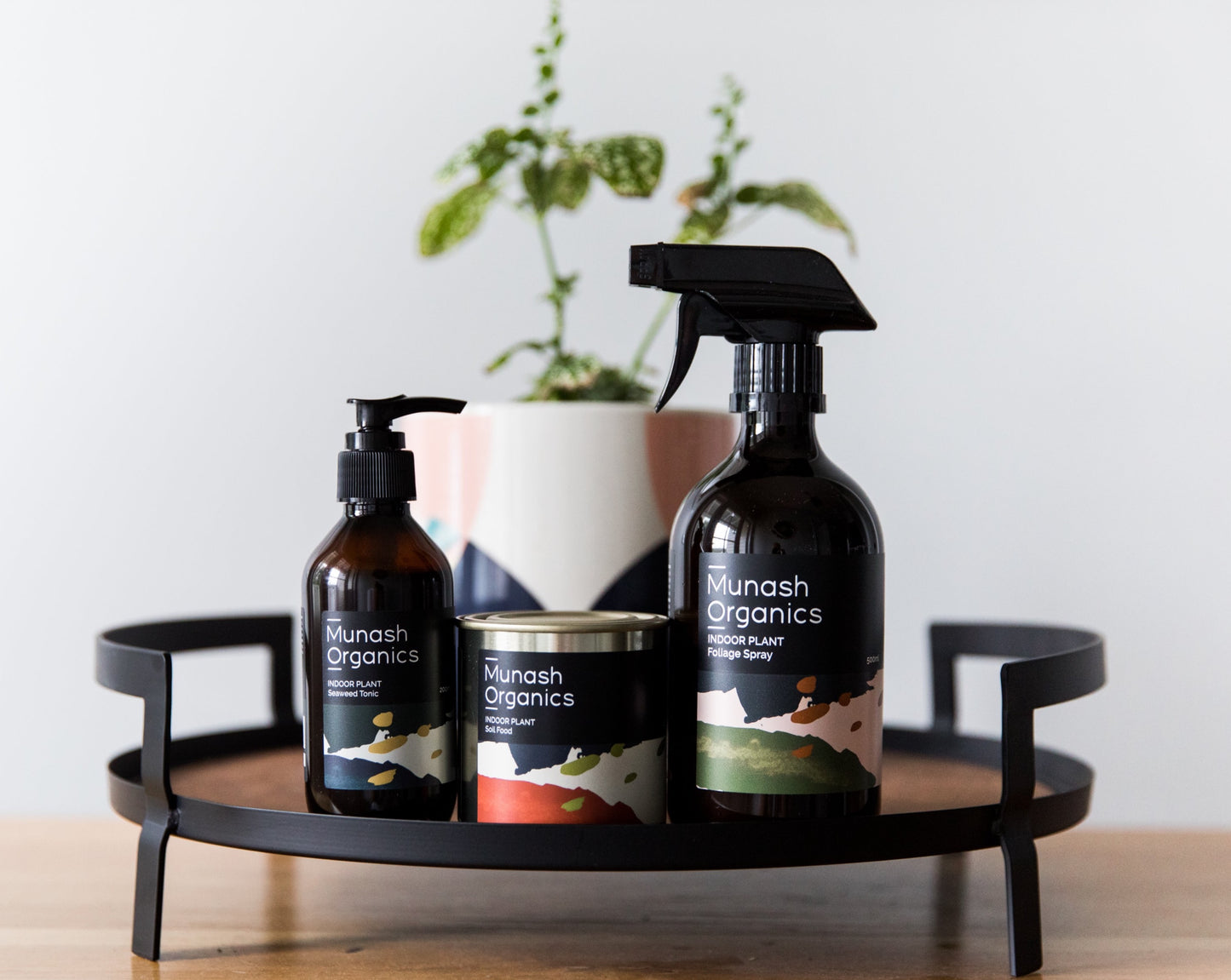 Indoor Plant Seaweed Tonic
