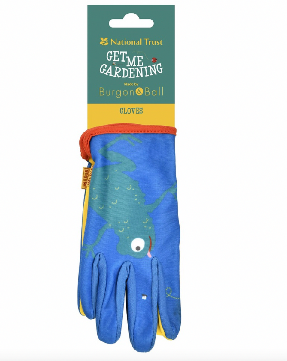 Childrens' Frog Glove by National Trust