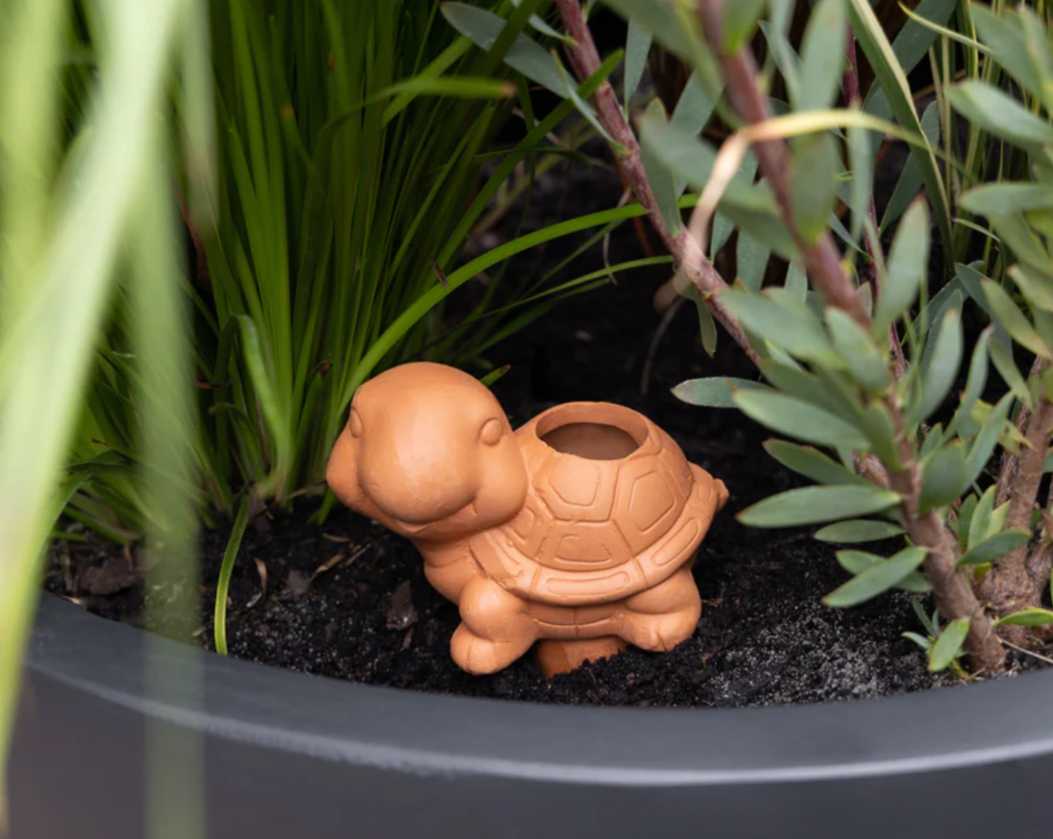 Terracotta Self Watering Turtle