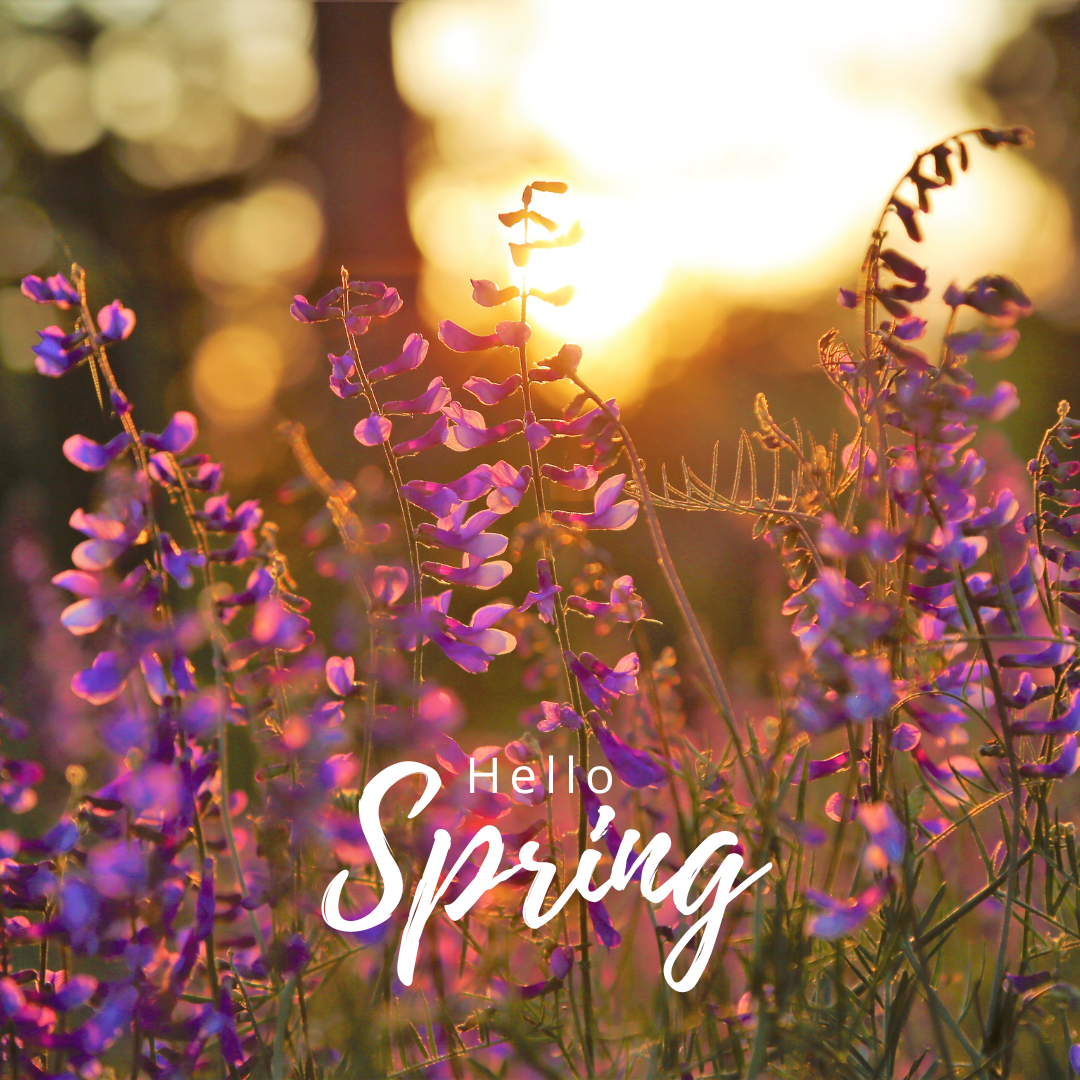 Spring Plant Care in Melbourne: Waking Your Plants (and Yourself) Up After Winter