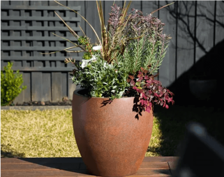 Balcony Plants + Trees