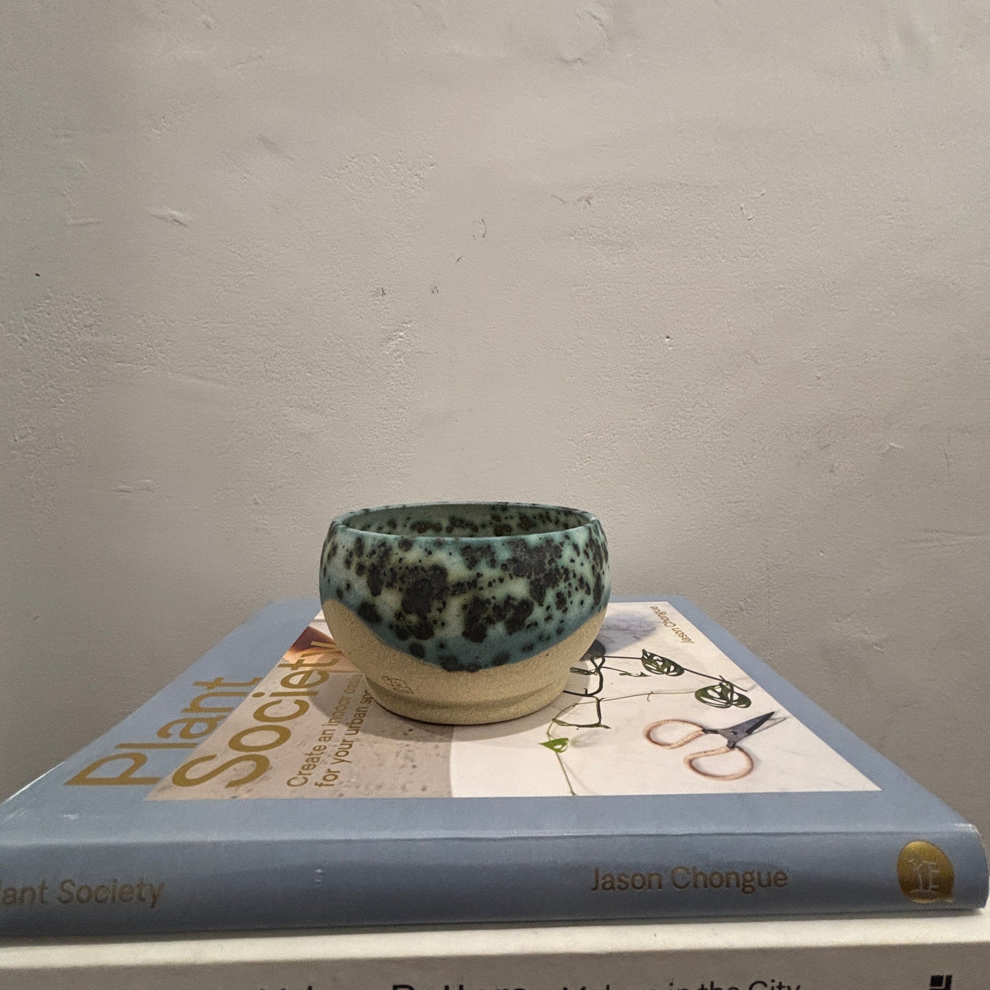 A handmade ceramic bowl with a speckled teal and cream 'moonscape' glaze sits on top of two stacked books against a textured off-white wall.