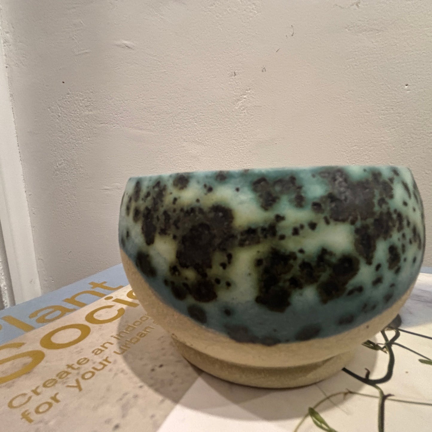 A handmade ceramic bowl with a speckled teal and cream 'moonscape' glaze sits on top of two stacked books against a textured off-white wall.
