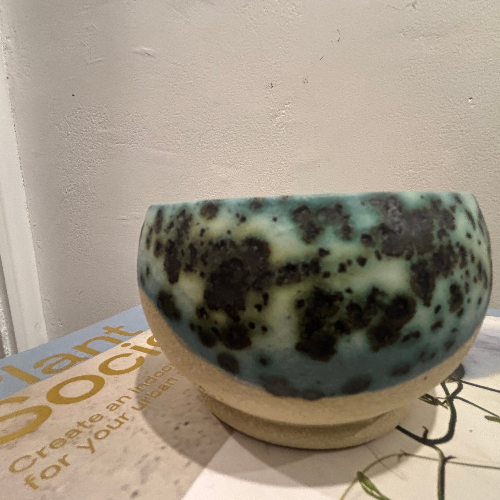 A handmade ceramic bowl with a speckled teal and cream 'moonscape' glaze sits on top of two stacked books against a textured off-white wall.