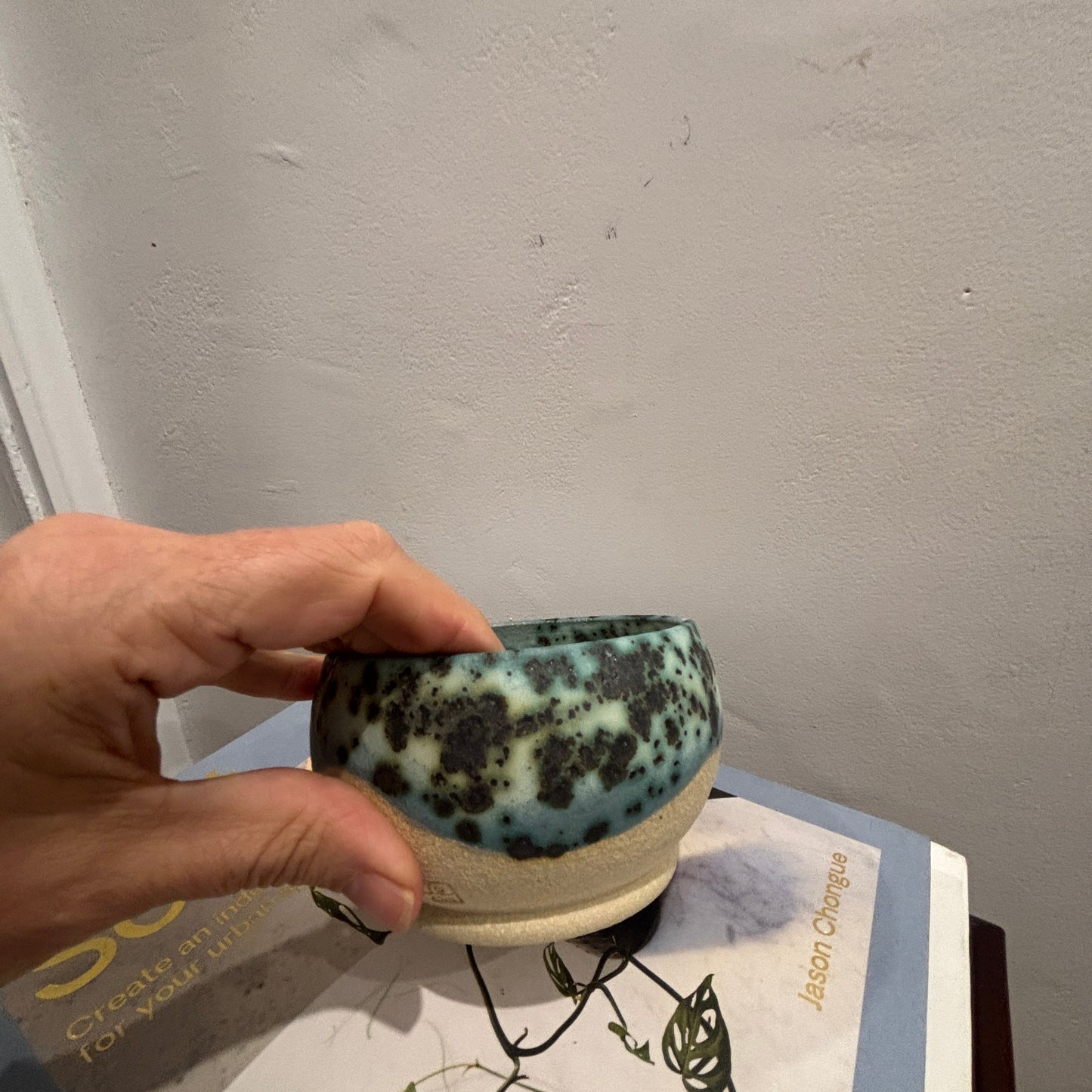 A handmade ceramic bowl with a speckled teal and cream 'moonscape' glaze sits on top of two stacked books against a textured off-white wall.