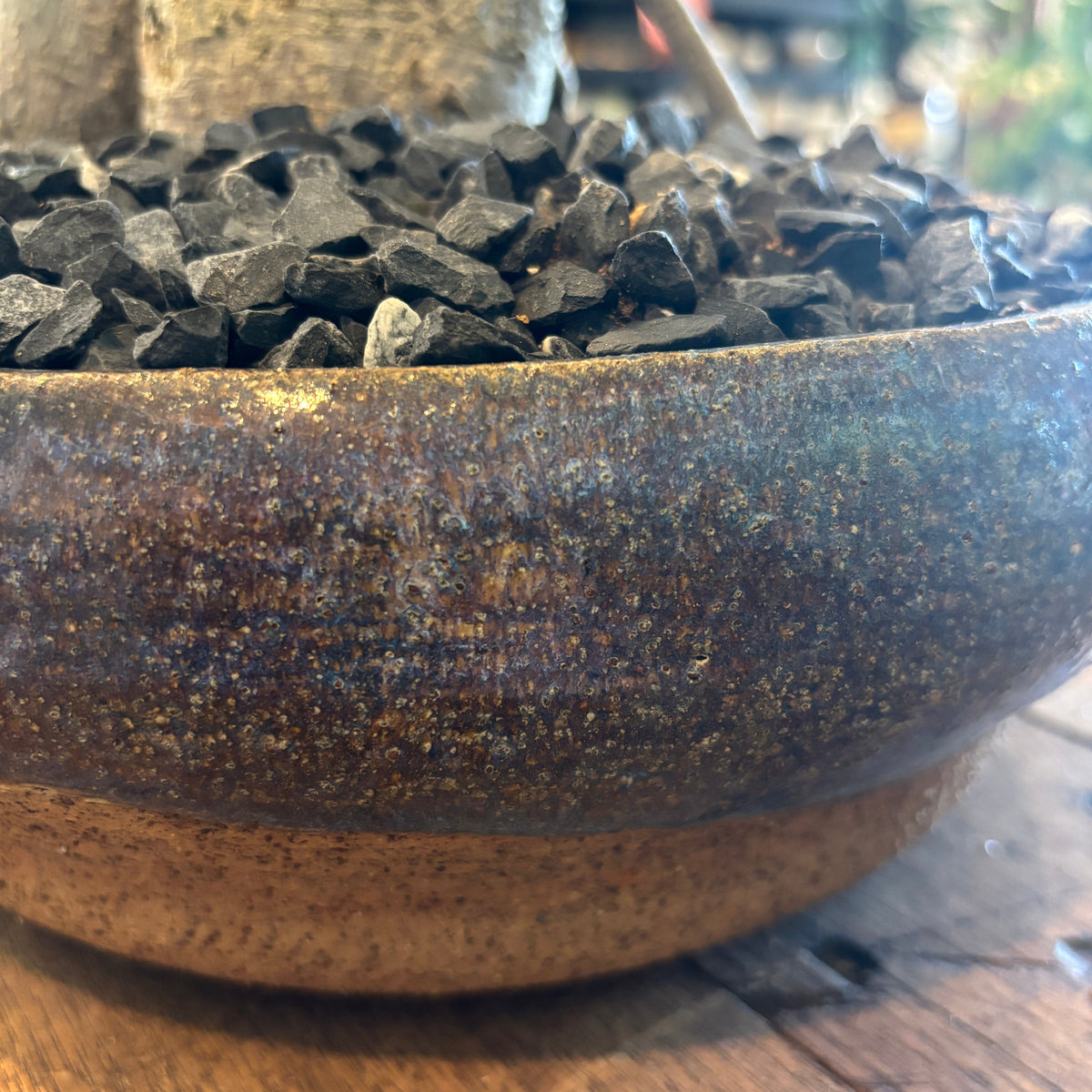 Bonsai - Ficus microcarpa in a TONiC Ceramics planter