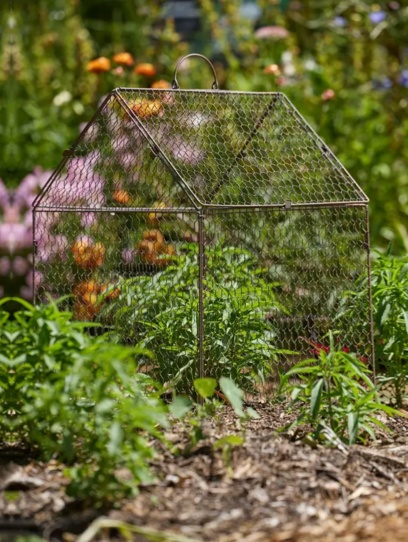 Cloche Wire House