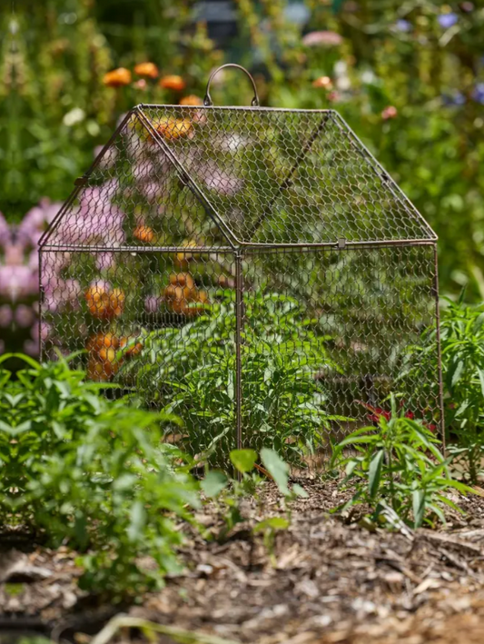 Cloche Wire House