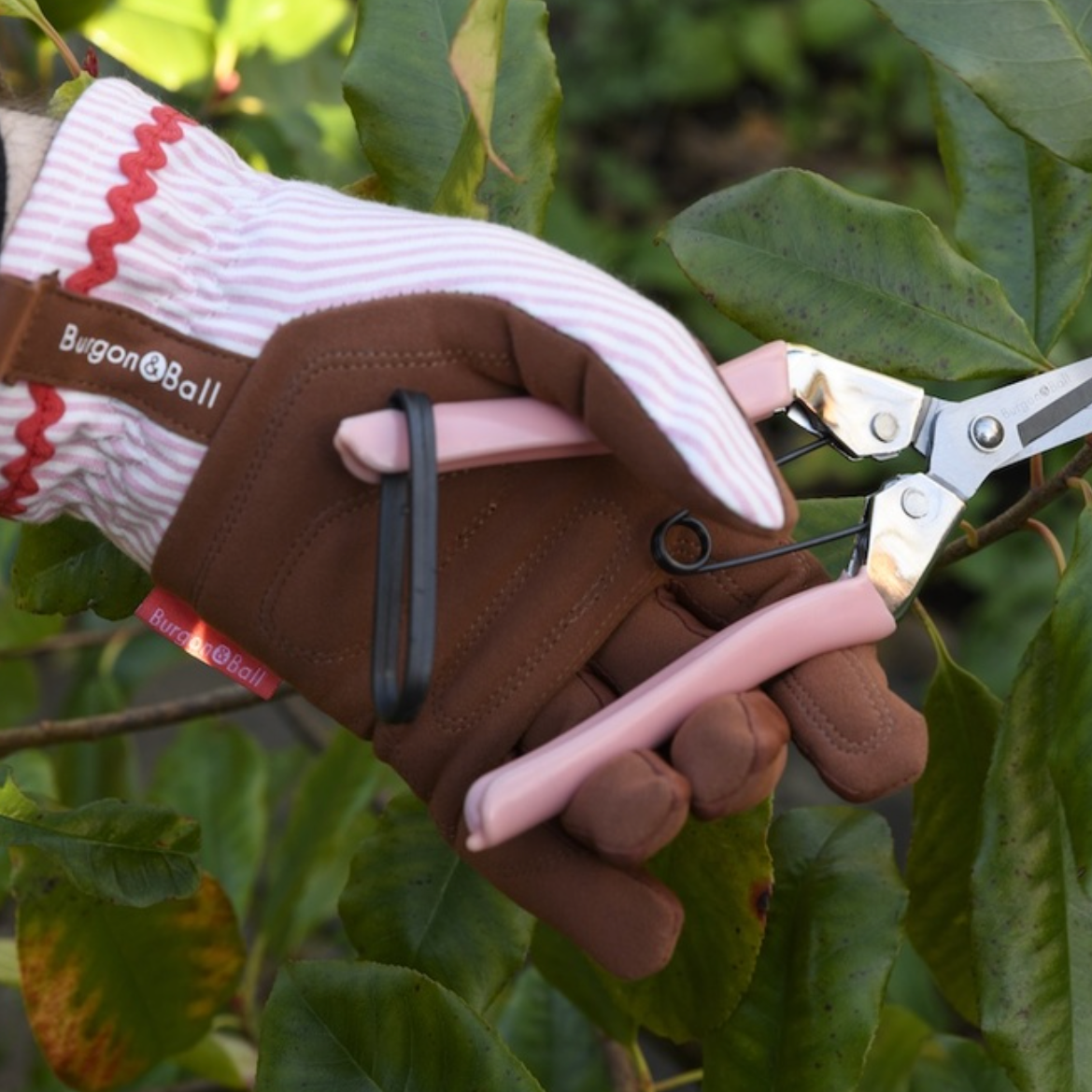 A close-up of a hand wearing a brown gardening glove and a pink and white striped protective glove, using pink-handled pruning shears to trim green leaves and branches outdoors.