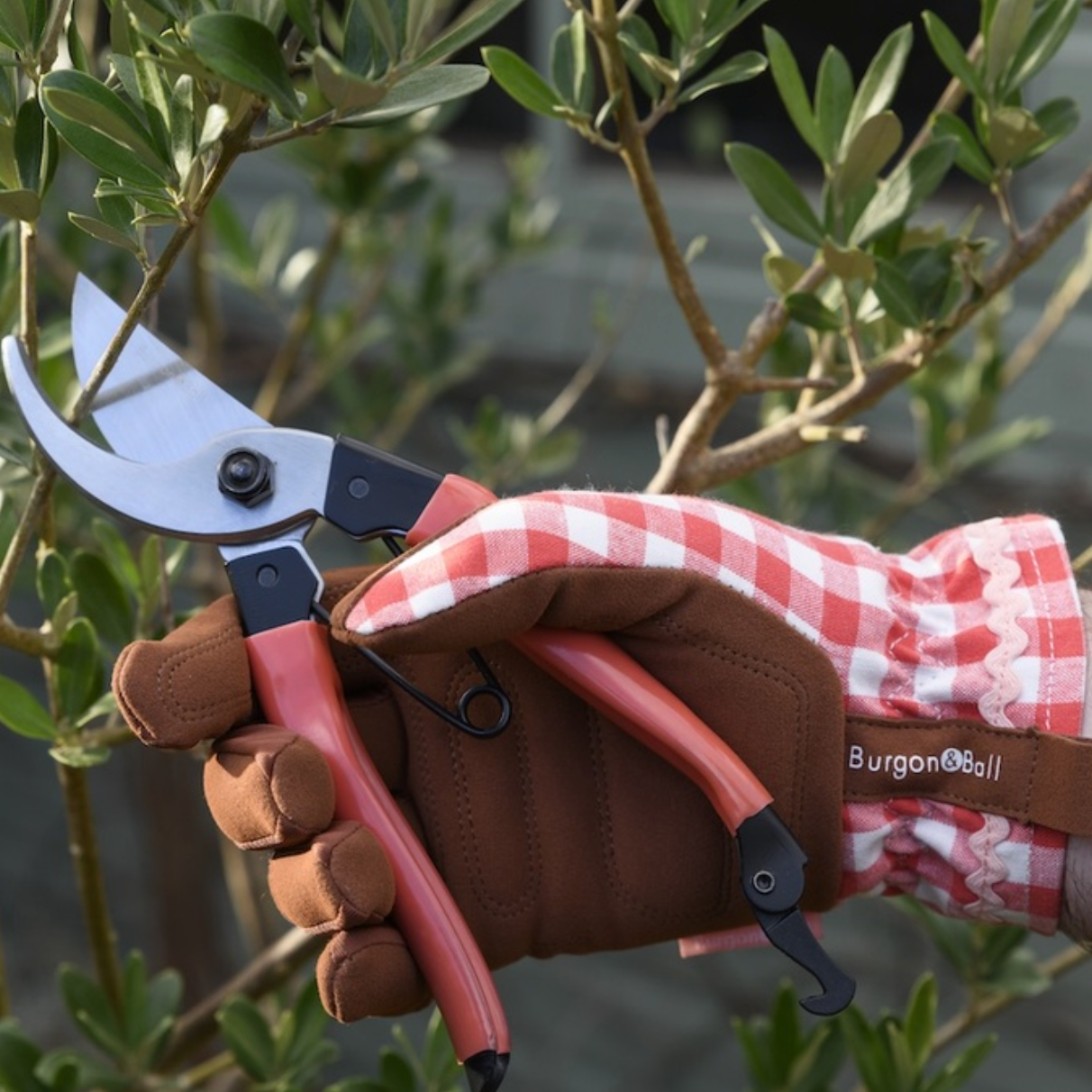 Collector Gloves - Red Check