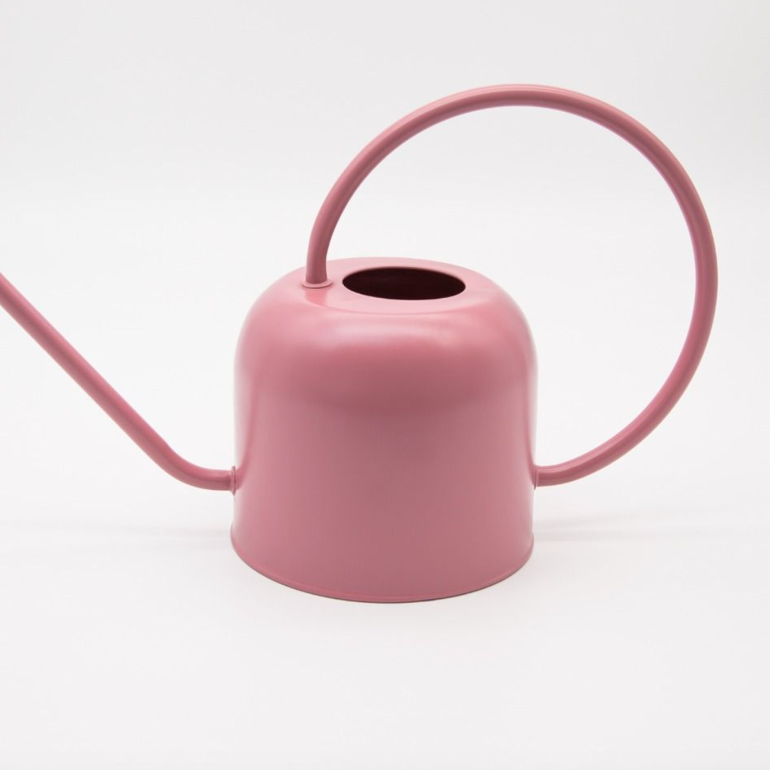 Pink watering can on a white background