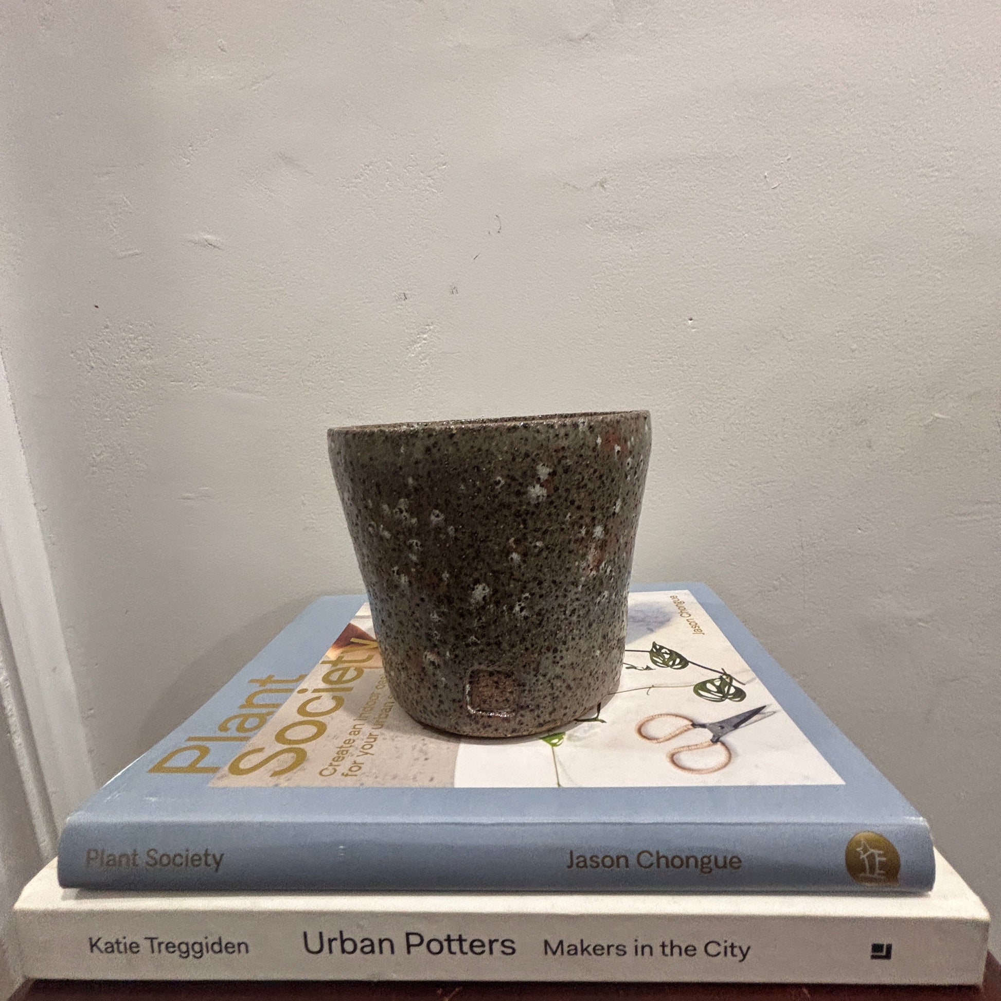 A speckled dark gray ceramic planter pot sits on top of two books, one light blue Plant Society book and one white Urban Potters book, against a textured off-white wall.