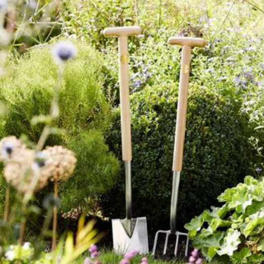 Gardening tools, including a shovel and a fork, standing in a garden with flowers and plants.