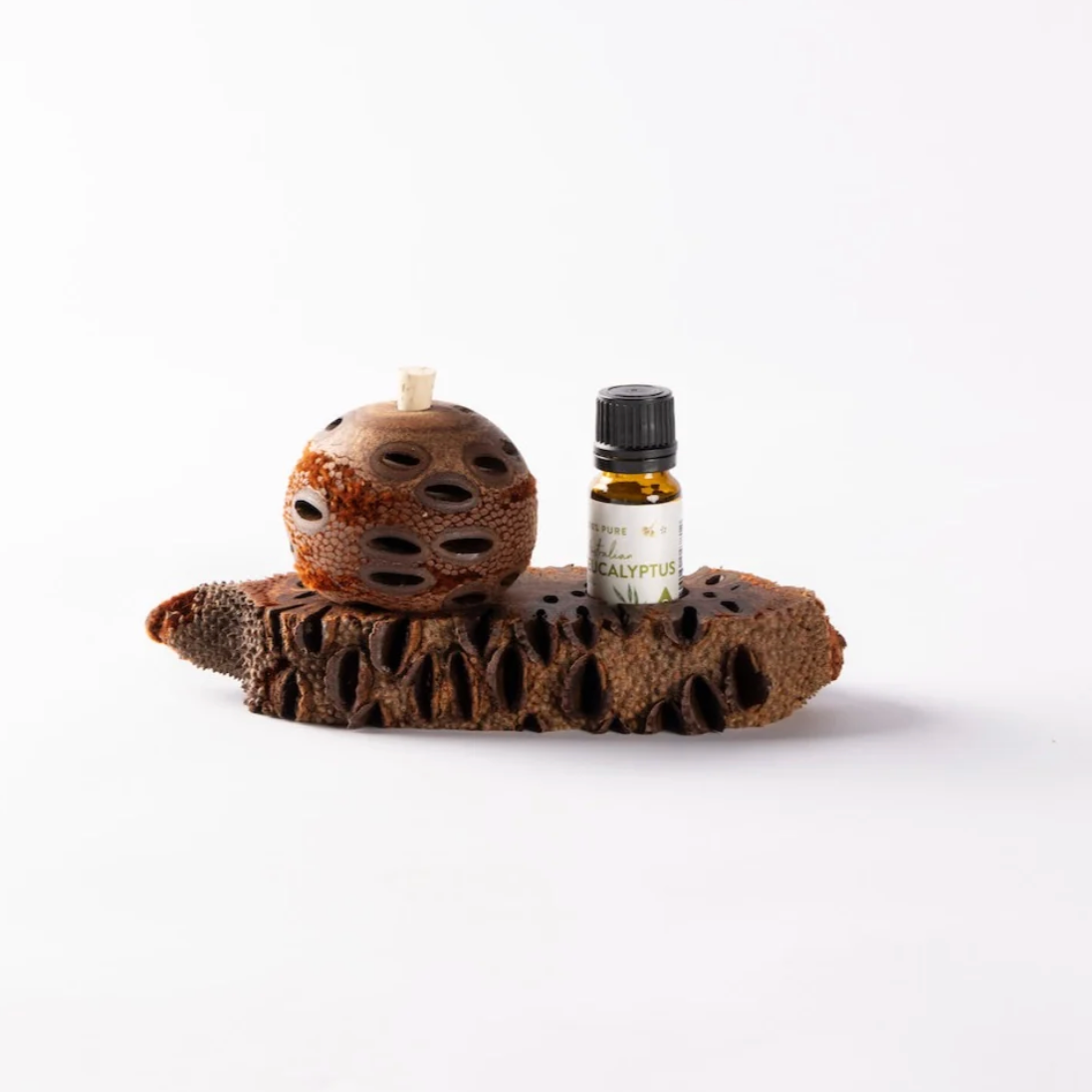 Banksia pod tray with diffuser and bottle of essential oil on a white background.