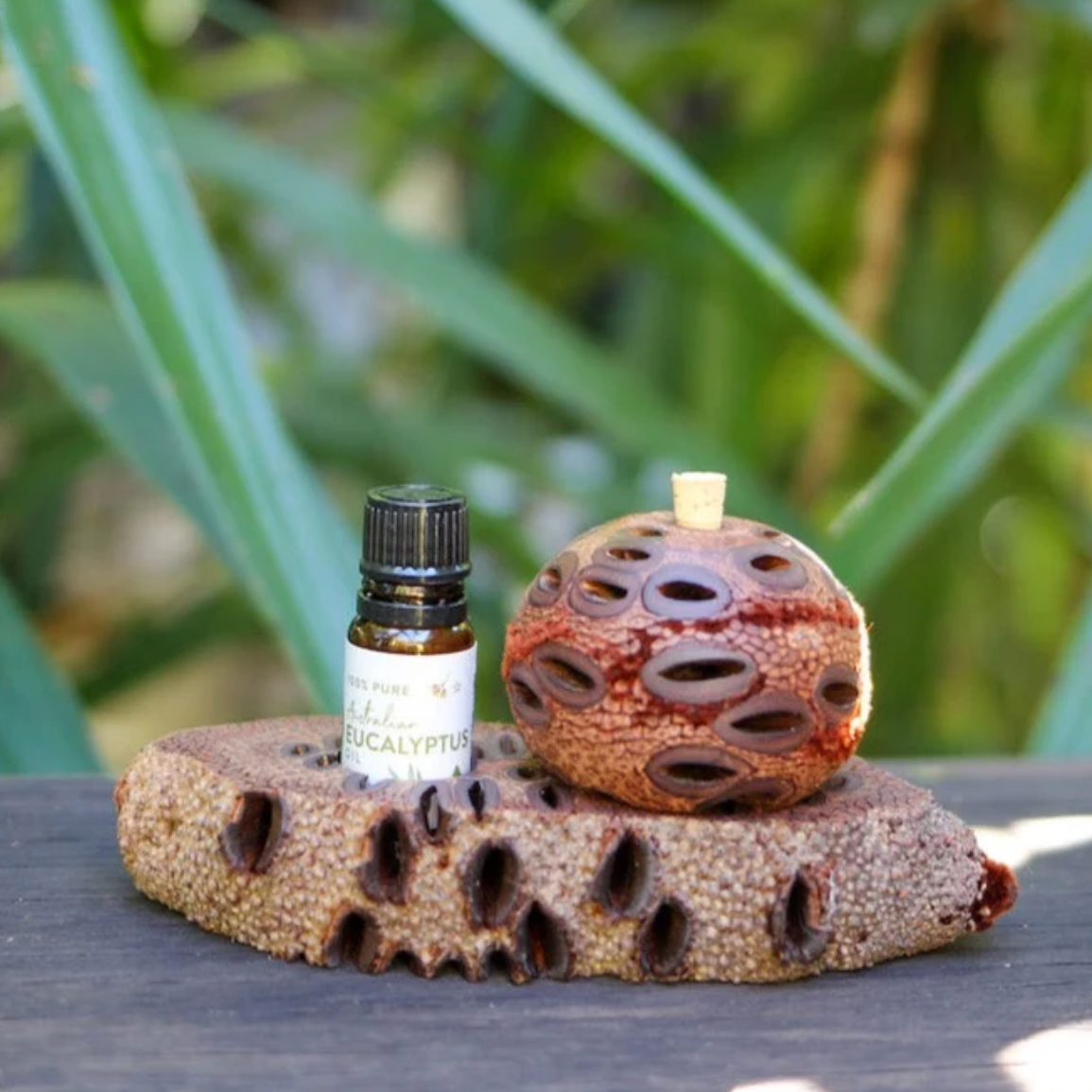 A small essential oil bottle labeled EUCALYPTUS next to a carved brown and beige banksia seed pod holder with a small wooden stopper, displayed on a textured natural stone base outdoors.